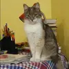 Отзыв от Катя Павлова